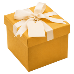 Mystery Gift